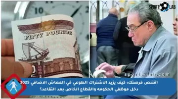 اقتنص فرصتك: كيف يزيد الاشتراك الطوعي في المعاش الإضافي 2025 دخل موظفي الحكومة والقطاع الخاص بعد التقاعد؟